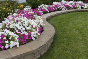 landscaping, sell your house fast